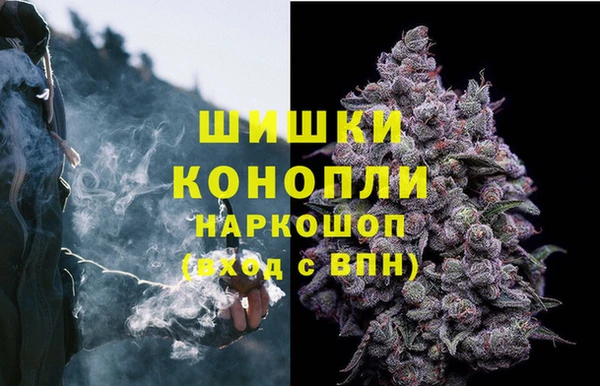 ПСИЛОЦИБИНОВЫЕ ГРИБЫ Алзамай