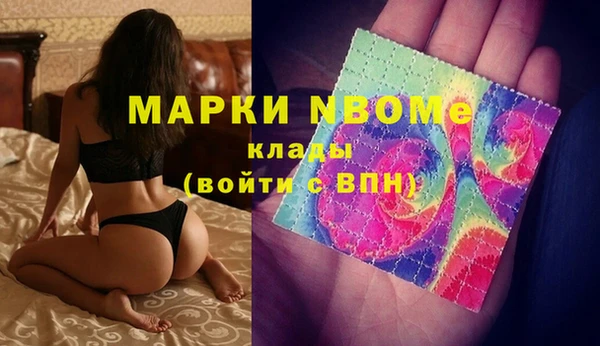 сатива Алексеевка